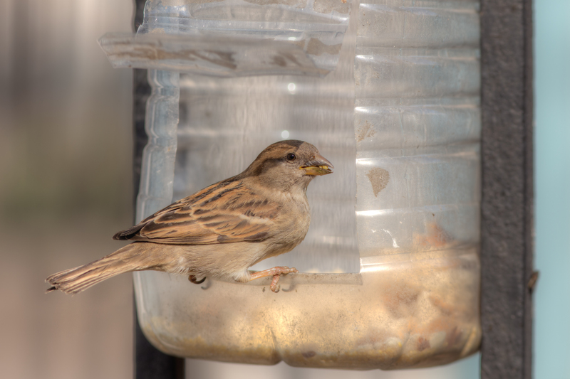 Teaching Kids Recycling: Fun and Effective Strategies